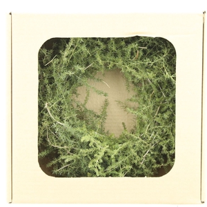 Wreath Asparagus Wild Preserved