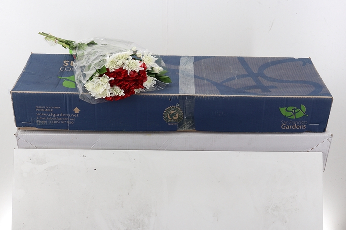 <h4>Hydr Bouquet</h4>