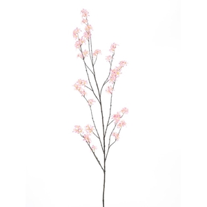 Wild peach blossom branch Blois 165