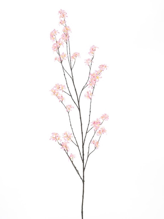 <h4>Wild peach blossom branch Blois 165</h4>
