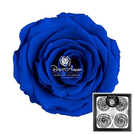 <h4>Bellisima Blu03</h4>