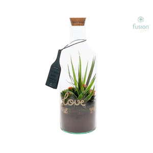 Green Bottle Fles Small Love met arrangement
