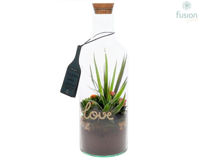 <h4>Green Bottle Fles Small Love met arrangement</h4>