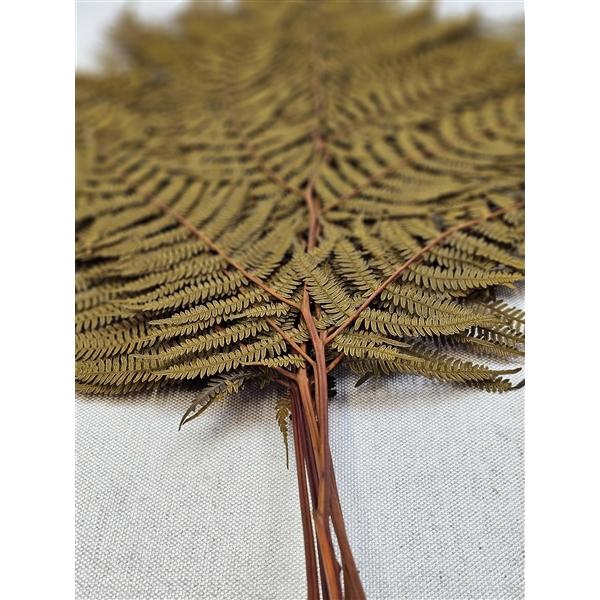 <h4>GESTABILISEERD VAREN MOSTERD</h4>