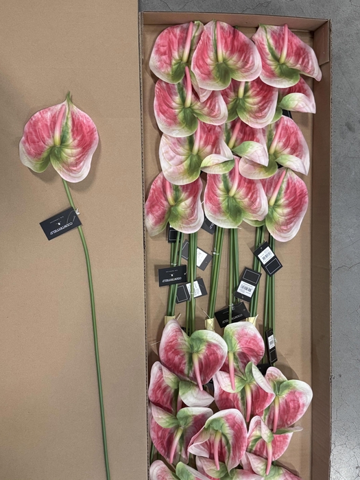 <h4>HUIS EN TUINDECO H%</h4>