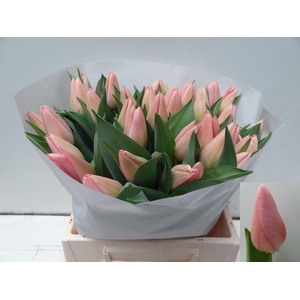 TU EN SALMON DESSERT