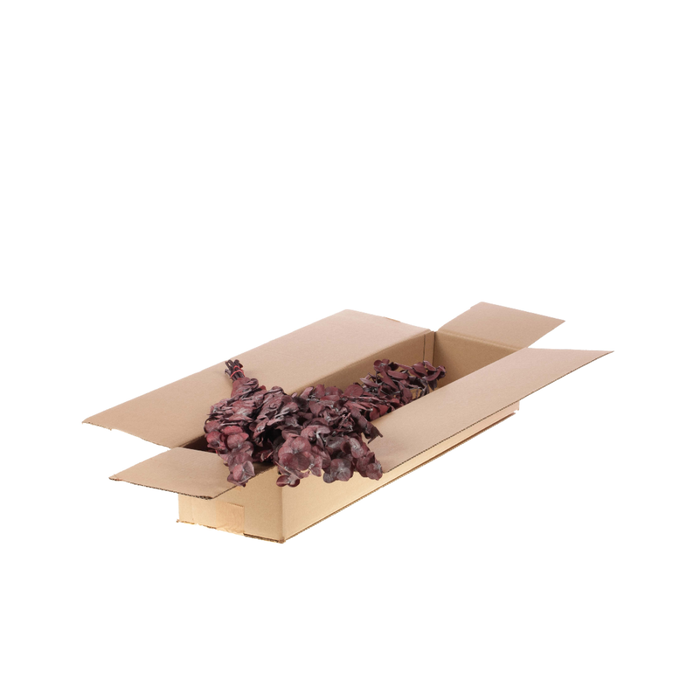 <h4>Eucalyptus True Blue Preserved A Sb Red</h4>