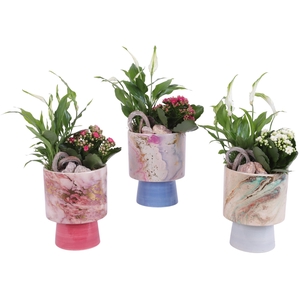 Yearround Arr. Indoor Ceramic Fresh Breeze FB676 Ø14cm 2PP