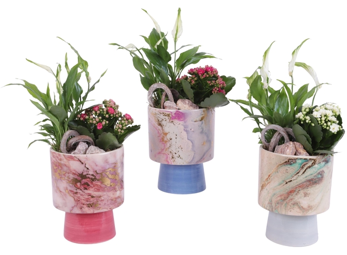 <h4>Yearround Arr. Indoor Ceramic Fresh Breeze FB676 Ø14cm 2PP</h4>