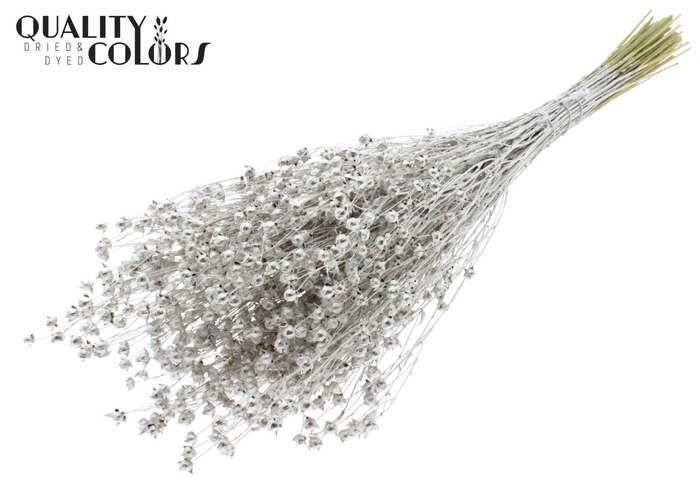 <h4>Droogbloemen   ...bewerkt H%</h4>