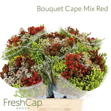 <h4>Bouquet Cape Mix Red</h4>