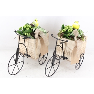 arr2 TD - Driewieler - wit