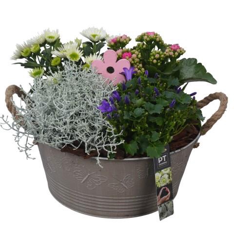 <h4>PTSO6013 Arrangement Summer Outdoor in metalen bak</h4>