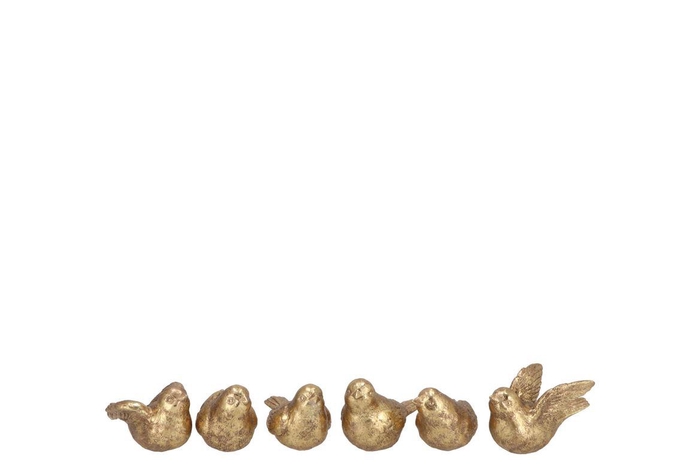 <h4>Deco Humming Bird Gold 6 Assorted 5x5x7cm</h4>