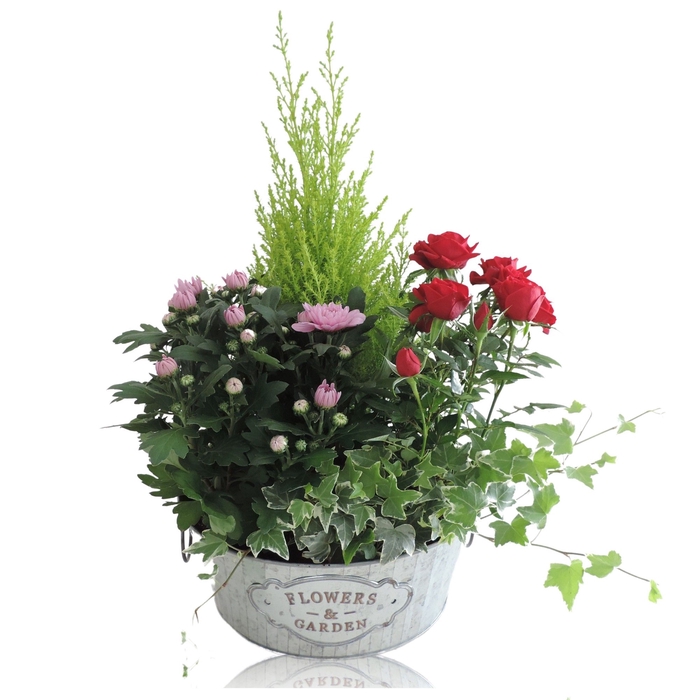 <h4>Opm RS-01002501 Zink Schaal</h4>