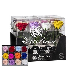 Display 20cm Stem Assorted