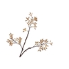 Firmiana Simplex Spray LV330087BGE