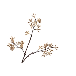 Firmiana Simplex Spray LV330087BGE