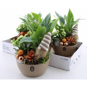 ARR INDOOR BRONZE GNOME