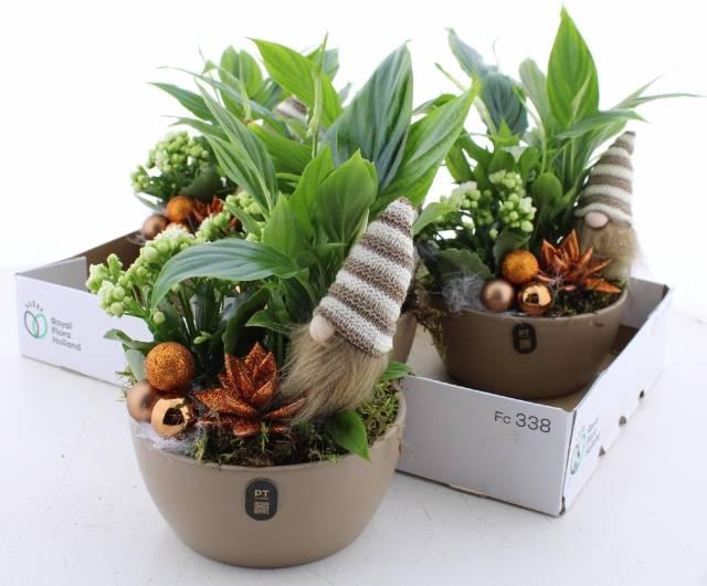 <h4>ARR INDOOR BRONZE GNOME</h4>