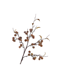 Sedum Spray Brown