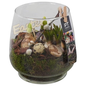 PTBMP5745 Arrangementen Tuinplanten