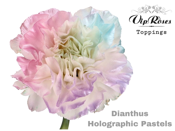 DI ST HOLOGRAPHIC PASTELS