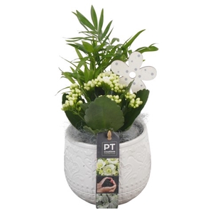 PTIB6383 Arrangement Indoor in keramiek pot