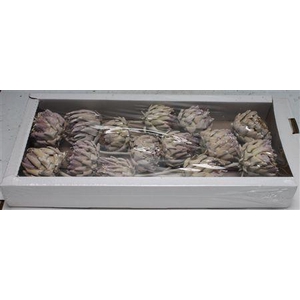 Artichoke White Washed