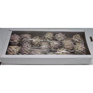 Artichoke White Washed ( X 14 St )