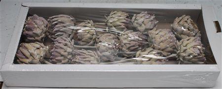 <h4>Artichoke White Washed ( X 14 St )</h4>