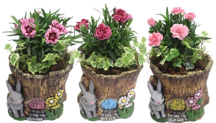 <h4>3050 OUTDOOR BOOMSTAM</h4>