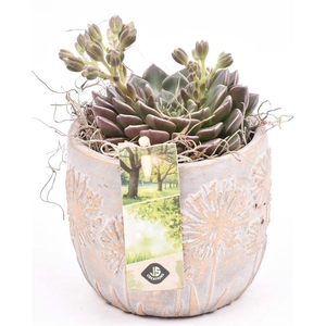 Cement pot bloemdecor 11,5cm