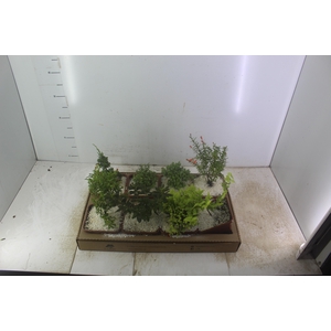BONSAI JUNIOR VASO PLASTICO 1.1L