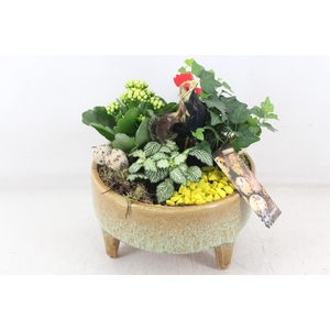 arr2 MB - Ker. schaal pootjes yellow