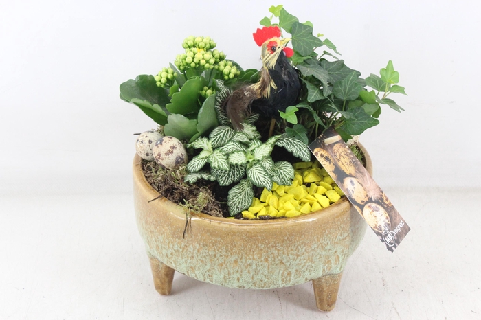 <h4>arr2 MB - Ker. schaal pootjes yellow</h4>