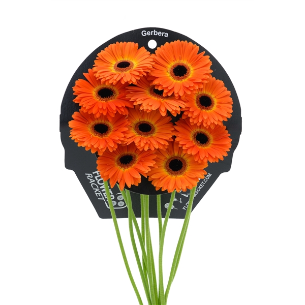 <h4>Gr Ge Medina flowerracket</h4>