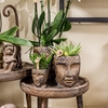 Kolibri Greens Succulenten mix in Totem Mask pot