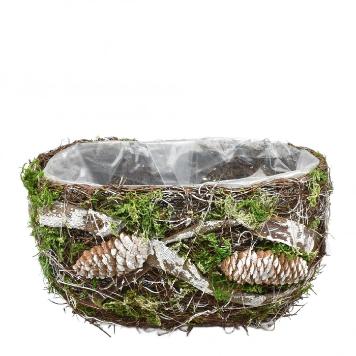 <h4>Promo Salim tray 24*15*12cm</h4>