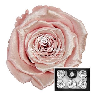 Xl Satin Strawberry Pin04