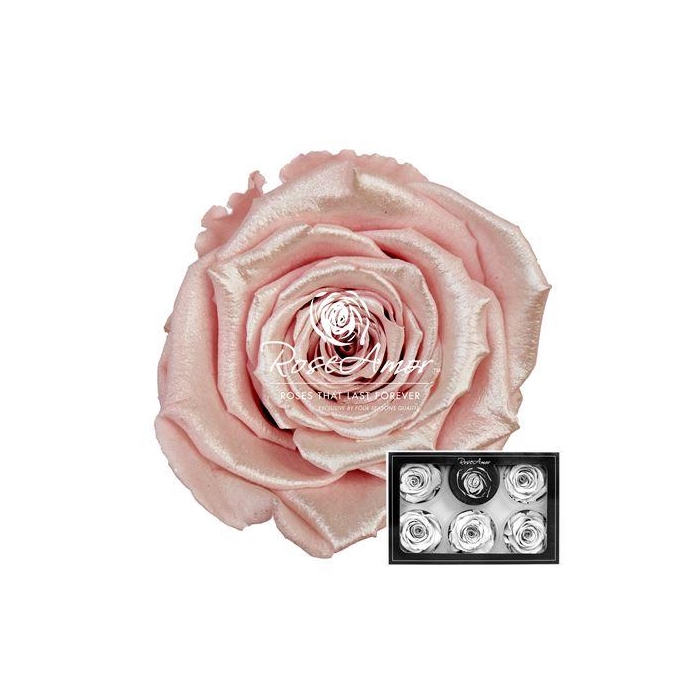 <h4>Xl Satin Strawberry Pin04</h4>