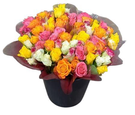 <h4>R Gr Rainbow Mix</h4>