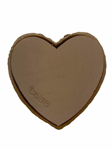 OASIS® BIOLIT® BIO FOAM HEART