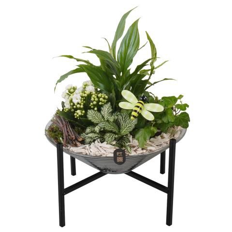 <h4>PTIG2670 Arrangement Indoor in glas schaal met standaard</h4>