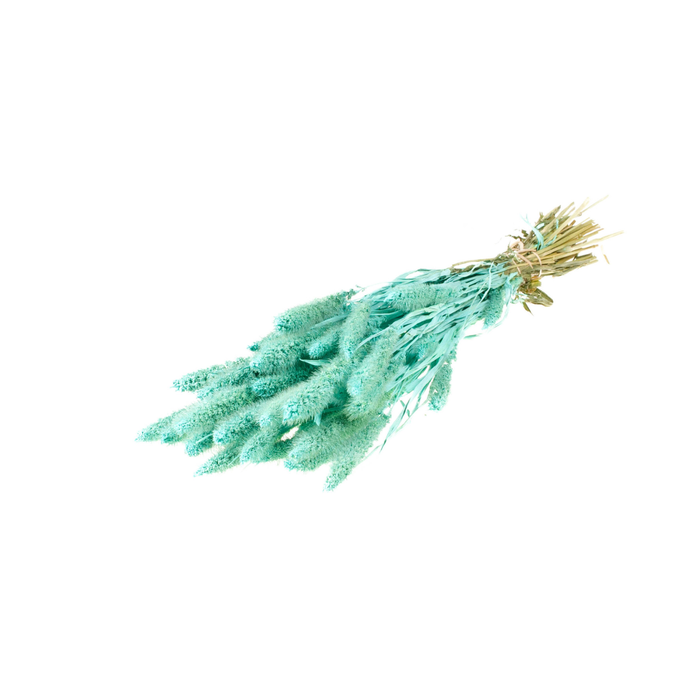 <h4>Setarea Blue Aqua</h4>