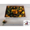 Sier Cuc P Pear Bicolor X50