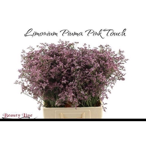 LIM PIUMA PINK TOUCH