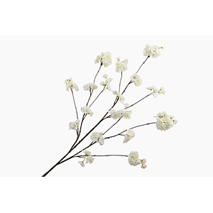 Prunus Peach Blossom White