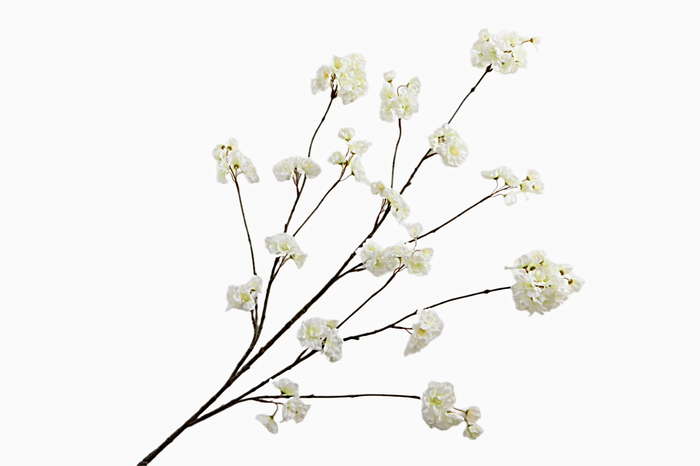 <h4>Prunus Peach Blossom White</h4>