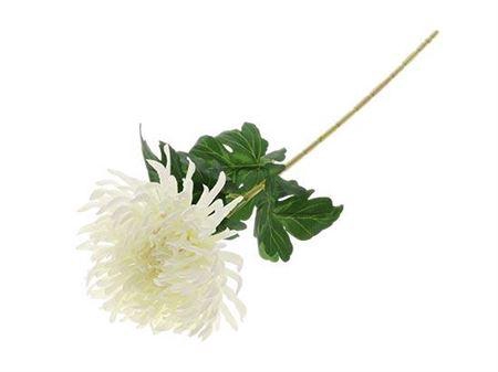<h4>Stem Chrysanthemum</h4>